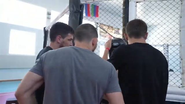 Профессиональный турнир по MMA смотреть онлайн