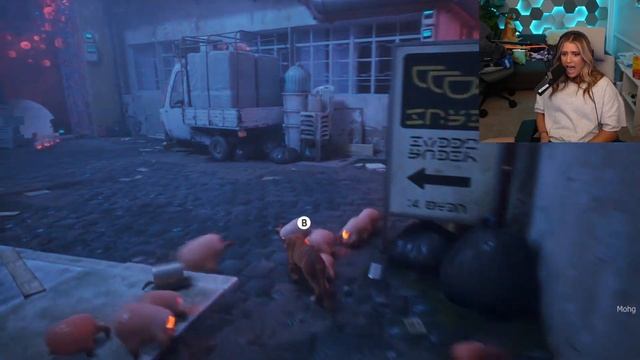 Stray game -Streamers react (First chase from the zerks) смотреть онлайн