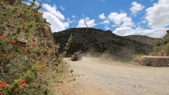 Desert Torture Test! // 2019 Subaru Forester Review