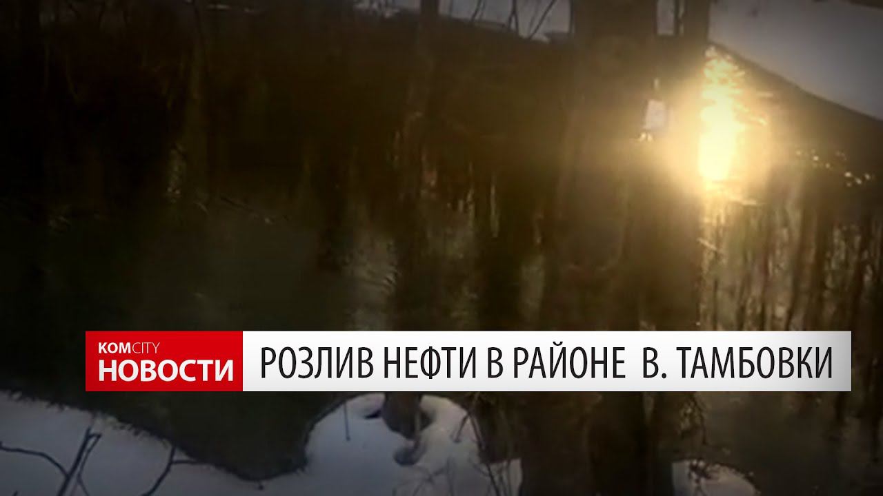 Нефпродукты попали в ручей Безымянный смотреть онлайн