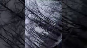 Рыбалка Ловля хариуса на ТЕЛЕВИЗОР!