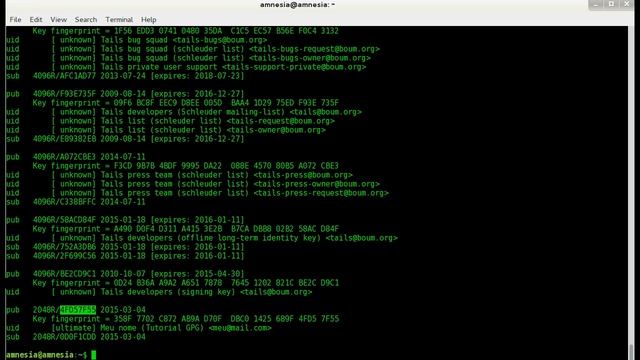 Tutorial GPG (em português) смотреть онлайн