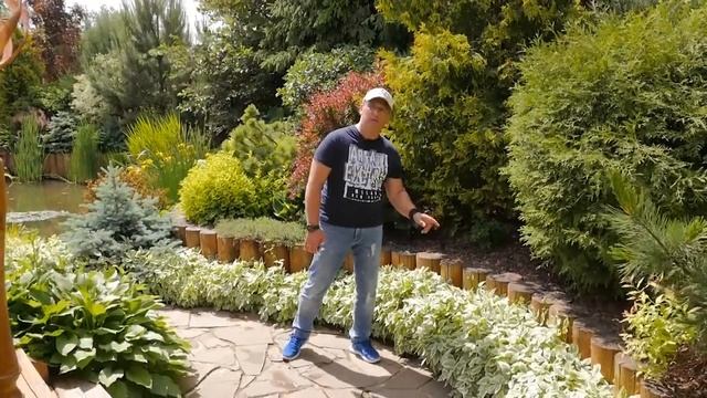 Сныть пестролистная смотреть онлайн