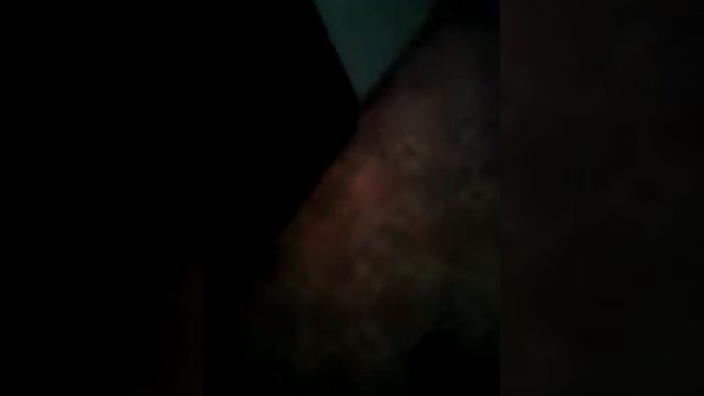 ШОК! Черви в орехах! смотреть онлайн