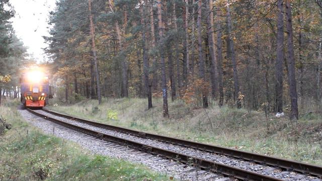 ТЭМ2 1064 с грузовым поездом на перегоне Заводская - пост 2 км Лыткаринского ППЖТ. смотреть онлайн