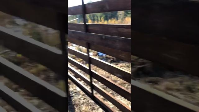 Забор из дерева плетёнка смотреть онлайн