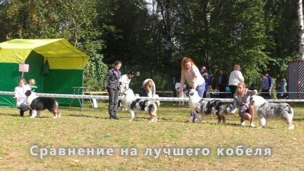 Seventy Seven Ideal For Life