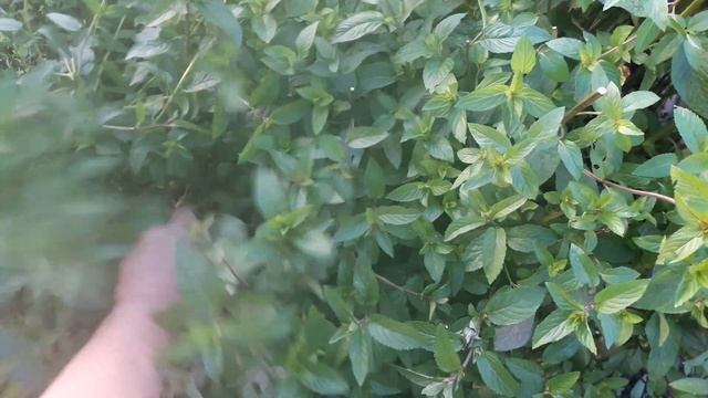 Дом Своими Руками