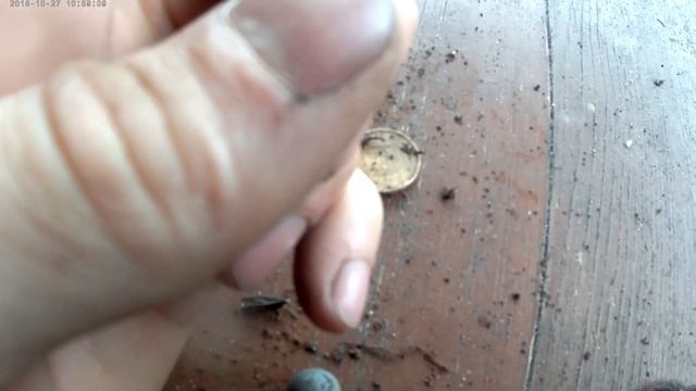Коп на детской площадке смотреть онлайн