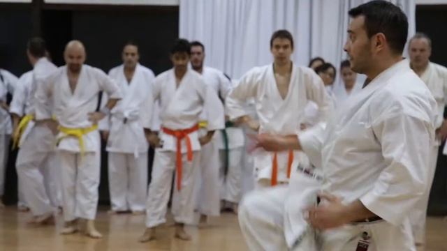 Budo Karate Dojo - Sede Alcántara 772 смотреть онлайн