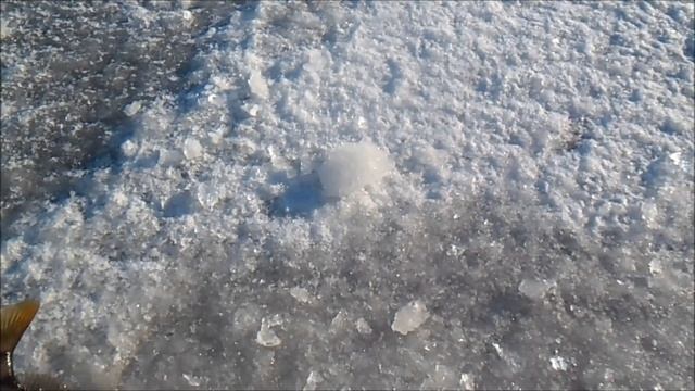 Зимняя рыбалка в Беларуси.Ловим окуня. Лунинецкий рай. смотреть онлайн