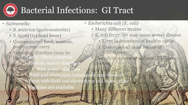 BIO 1150 Pathophysiology Week 2 Lecture смотреть онлайн