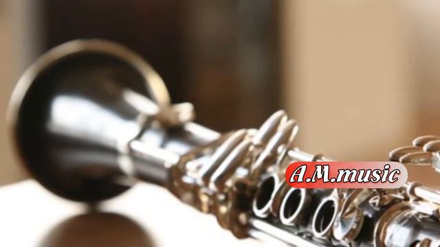 Haykakan Harsaniq ( Live ) - Vardges Shahinyan, Ernest Manukyan (klarnet  & Zurna)