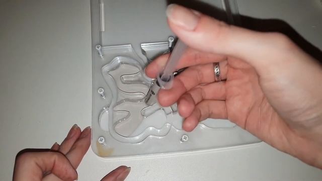 ПЛЕСЕНЬ в муравьиной ферме! Муравьи погибают! ЧИСТКА ФОРМИКАРИЯ | заливаем гипс, заселяем муравьев смотреть онлайн