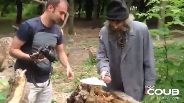 это мой гриб смотреть онлайн