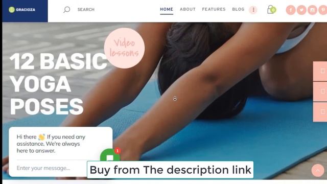 Gracioza | Weight Loss Company & Healthy Blog WordPress Theme смотреть онлайн