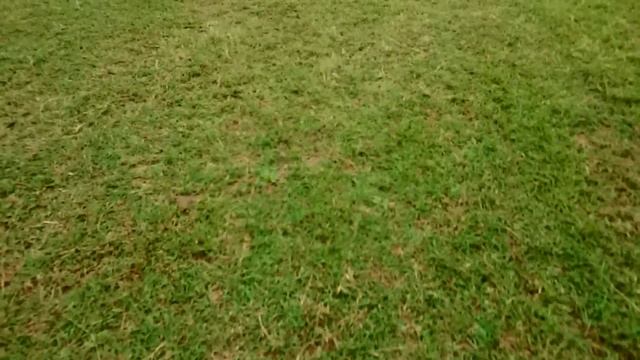 Three R/C MOTORCYCLES Compared!!! смотреть онлайн