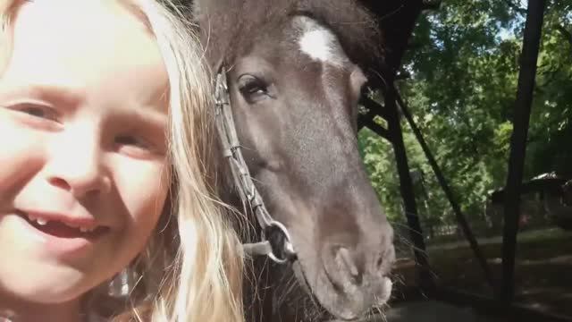 Пони и белки в парке смотреть онлайн