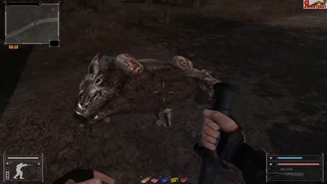 S.T.A.L.K.E.R Фотограф Прохождение №1 от Патриота. смотреть онлайн