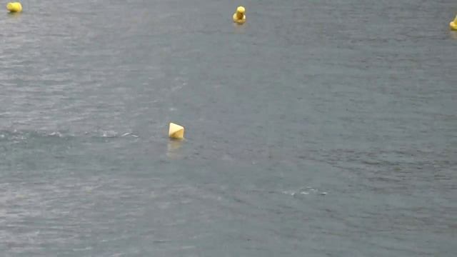 Летучие рыбы смотреть онлайн