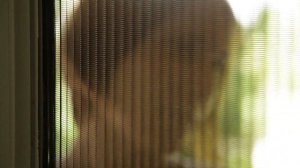 Раздвижные москитные сетки для дверей, террас и окон | БоброСтрой