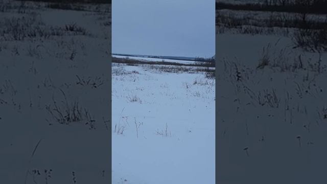 Курская область конышевский район деревня мармыжи(2) смотреть онлайн