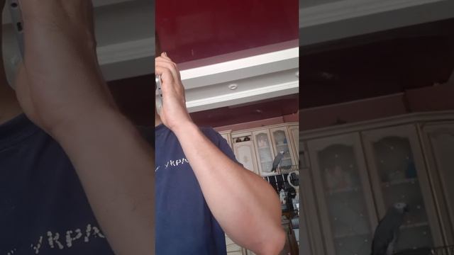 У меня зазвонил телефон смотреть онлайн