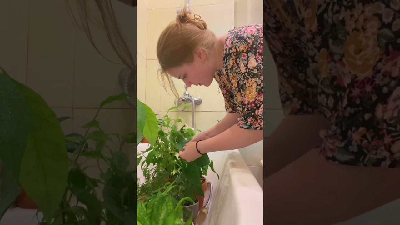 Цветочная рутина | Полив растений | Керамические горшки | Уход за растениями | Неприхотливые цветы