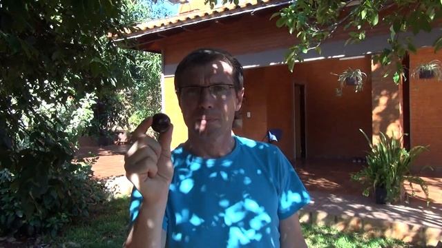Джаботикаба - Парагвайское дерево смородина смотреть онлайн
