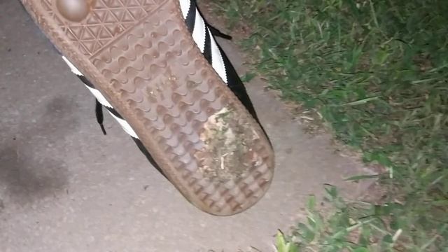 Enjoying My Sockless Adidas Samba Shoes At Night... смотреть онлайн