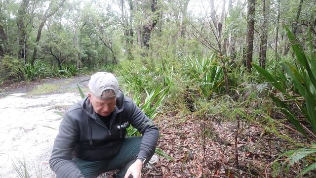 The CHEAPEST Macro Ring Flash... Is It Any Good?