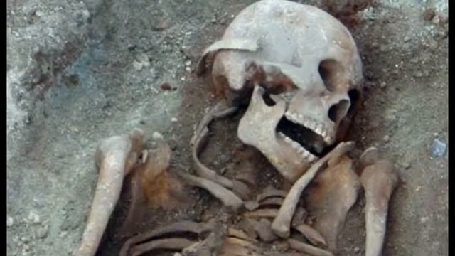 Расы из других ячеек, с нашей планеты смотреть онлайн