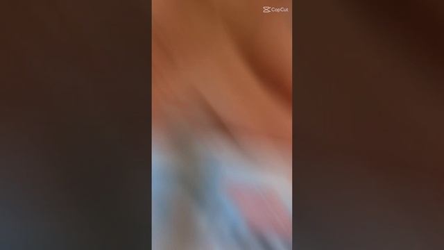 Lactol Leche En Polvo Para Gatitos 500g