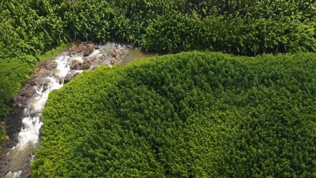 Литературное служение. Стих “Простить” смотреть онлайн