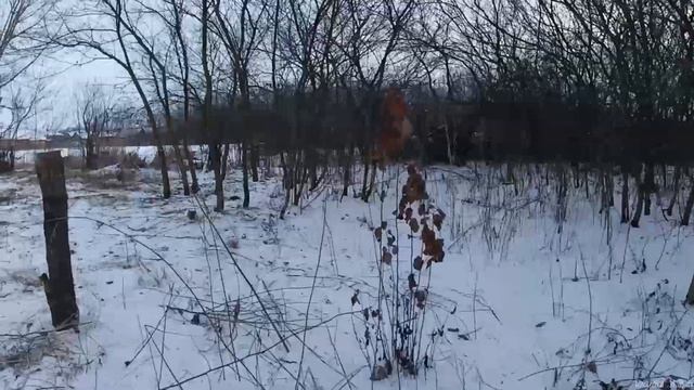 Делаю зимнюю обрезку своего сада в деревне. Сад никак не использовался более пяти лет. Часть 2 смотреть онлайн