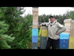 философия 6-ти рамочного улья 3