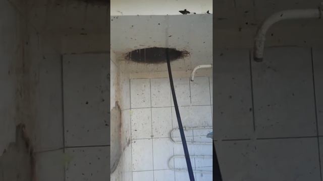 Как нужно мыть мусоропроводы Перми 247-17-82 смотреть онлайн