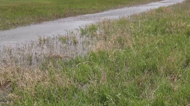 ? ПОЙМАЛ 7 МОРСКИХ ЛЕЩЕЙ. Охота с рогаткой на рыбу в Астрахани. смотреть онлайн