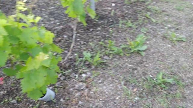 Незаменимый помощник электротяпка!!!