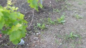 Незаменимый помощник электротяпка!!!