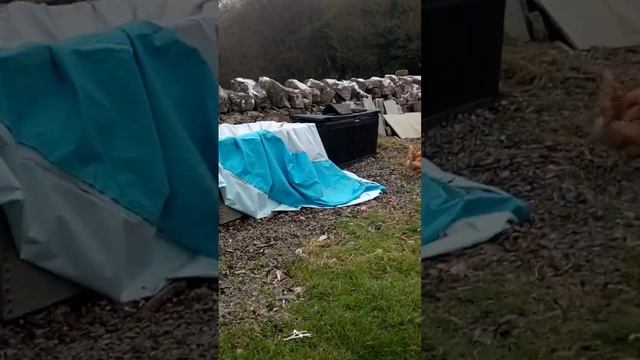 bind e perl ?? смотреть онлайн