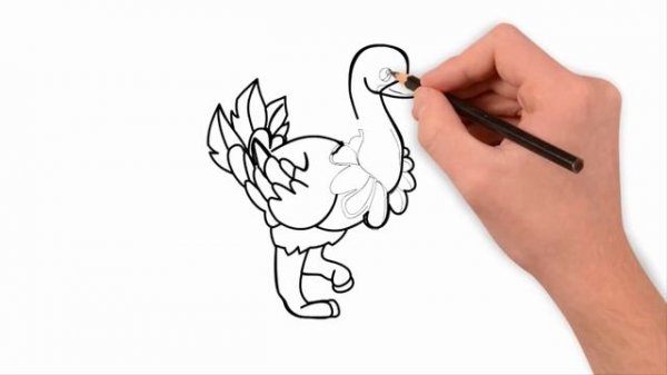 how to draw an ostrich, draw animals