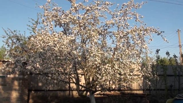 Моя дача готова к сезону смотреть онлайн