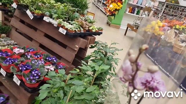 ?Цветочный отдел?:Ашан, Леруа Мерлен 24км.?мкад.Обзор горшков, растени,грунтов смотреть онлайн