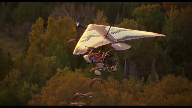 Улетают птицы смотреть онлайн