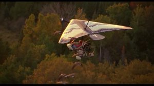 Улетают птицы