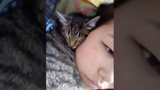 Котёнок свистит во сне смотреть онлайн