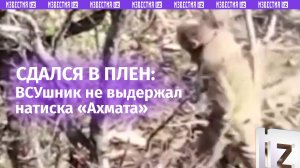 Страшно, жить хочет: ВСУшник поднял руки и пошел сдаваться в плен / Известия