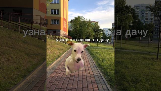 лень писать название смотреть онлайн