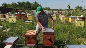 Мы против двухматочного содержание пчёл! Наш метод получения сильных семей